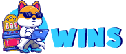 Professor Wins Casino logo